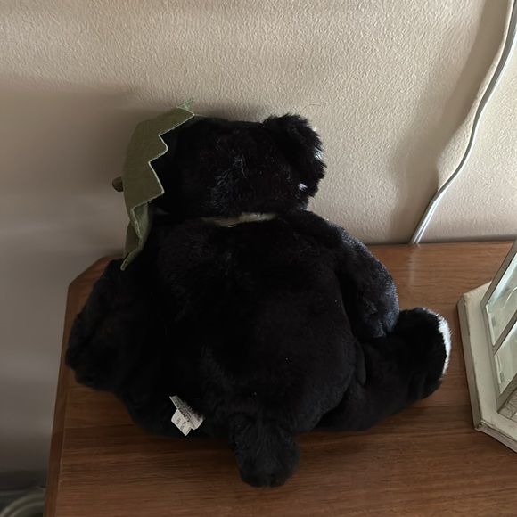 Pumpkin cat - Picture 2 of 3